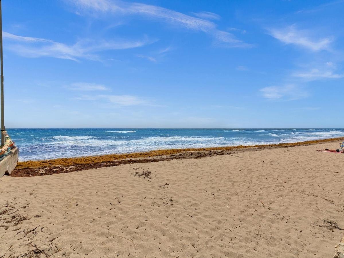 The Shell On Walnut Studio With Bath Hollywood Beach Free Parking دانيا بيتش المظهر الخارجي الصورة