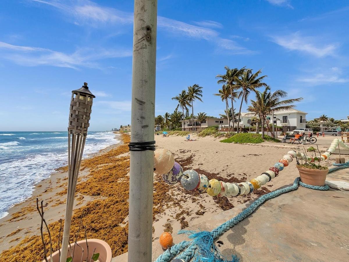 The Shell On Walnut Studio With Bath Hollywood Beach Free Parking دانيا بيتش المظهر الخارجي الصورة
